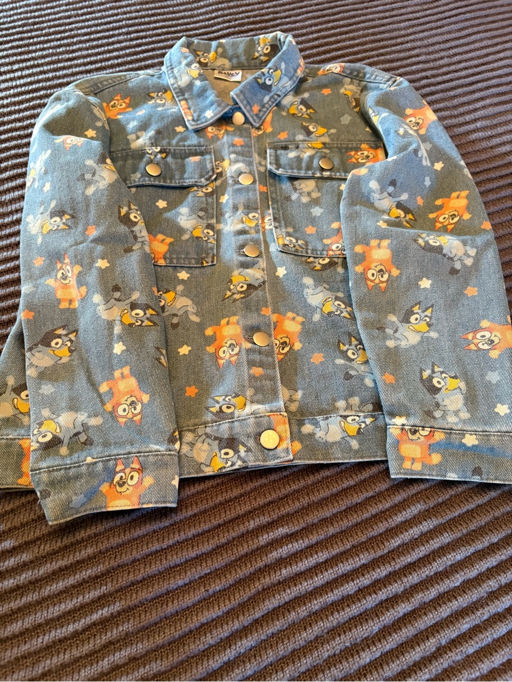Kids Bluey Cartoon Denim Jacket NWOT